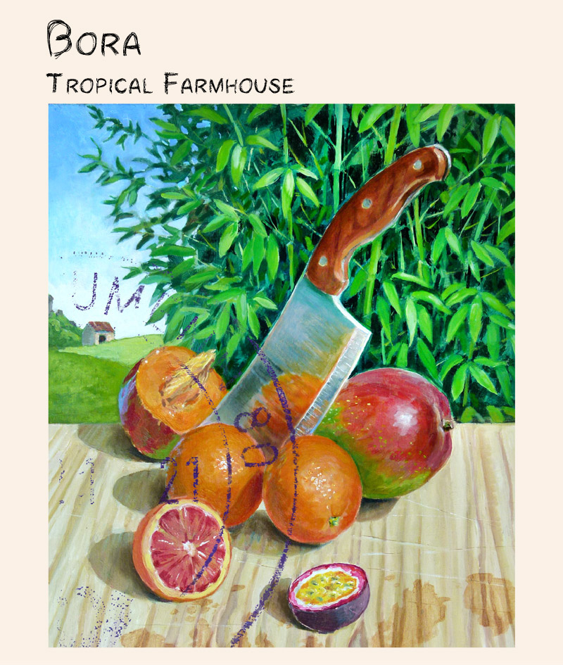 Bora Tropical Farmhouse